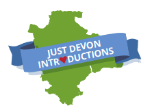 Devon map